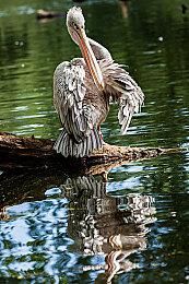 《层层恐惧》“开场预告”公布 PC试玩5＆15推出